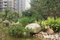 孔目江1号实景图40